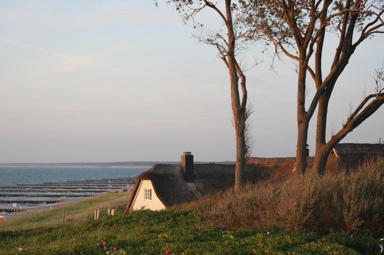 Dat Dardel Hus Born Esterno foto
